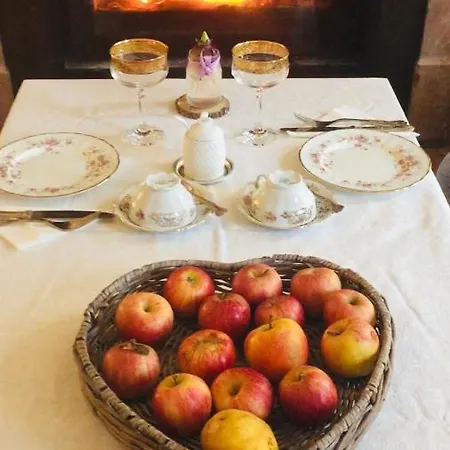 Frich 4* Verona